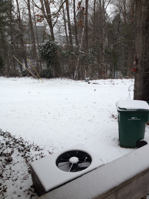 snow1.jpg