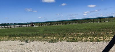 IMG_20220730_114252.jpg