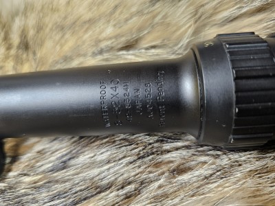 20241101_171625.jpg