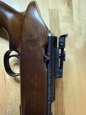 Ans side sight.jpg
